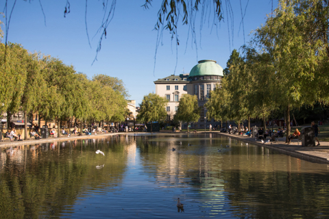 Park and pond in front of the SSE dome